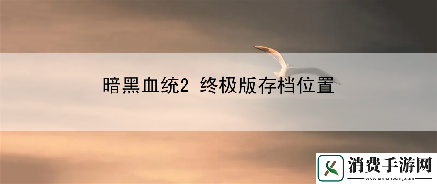 暗黑血統2終極版存檔位置