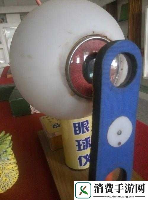 我成了生物課的教具