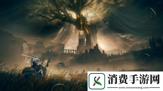 艾爾登法環去年大獲成功