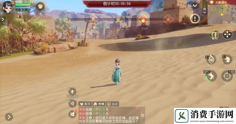 夢幻西游三維版購物指南深入交易系統探索
